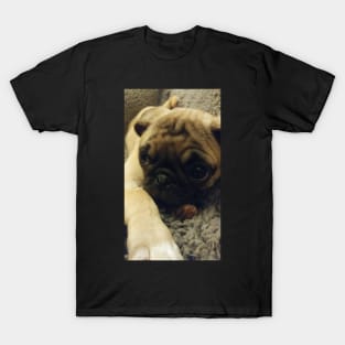 Pug T-Shirt